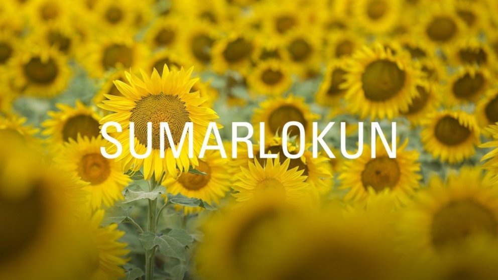 Sumarlokun