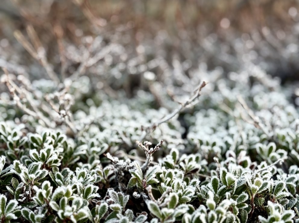 Upphaf vorannar - velkomin til starfa!