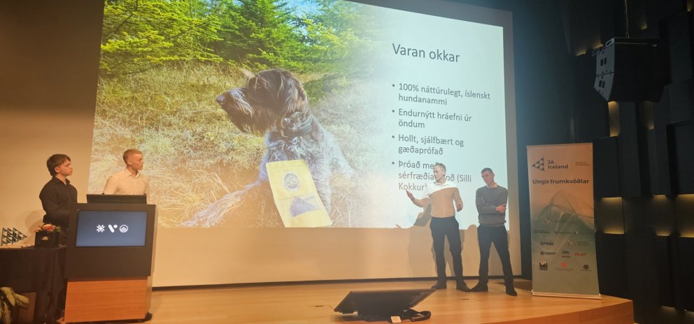 Villibitar í úrslitum