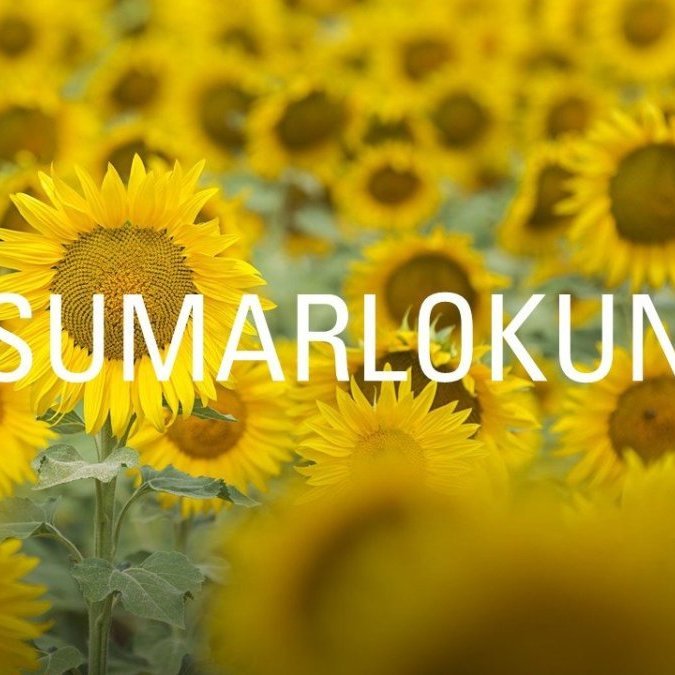 Sumarlokun