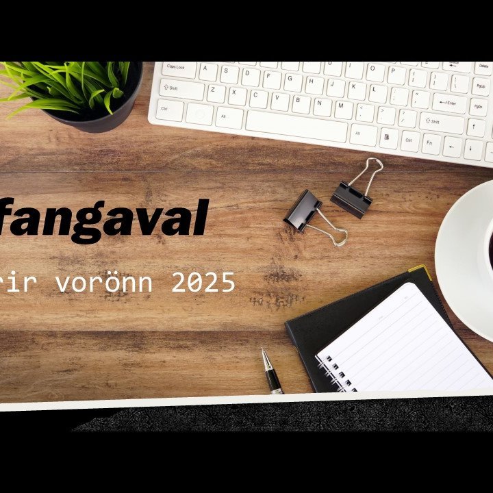 Áfangaval fyrir vorönn 2025