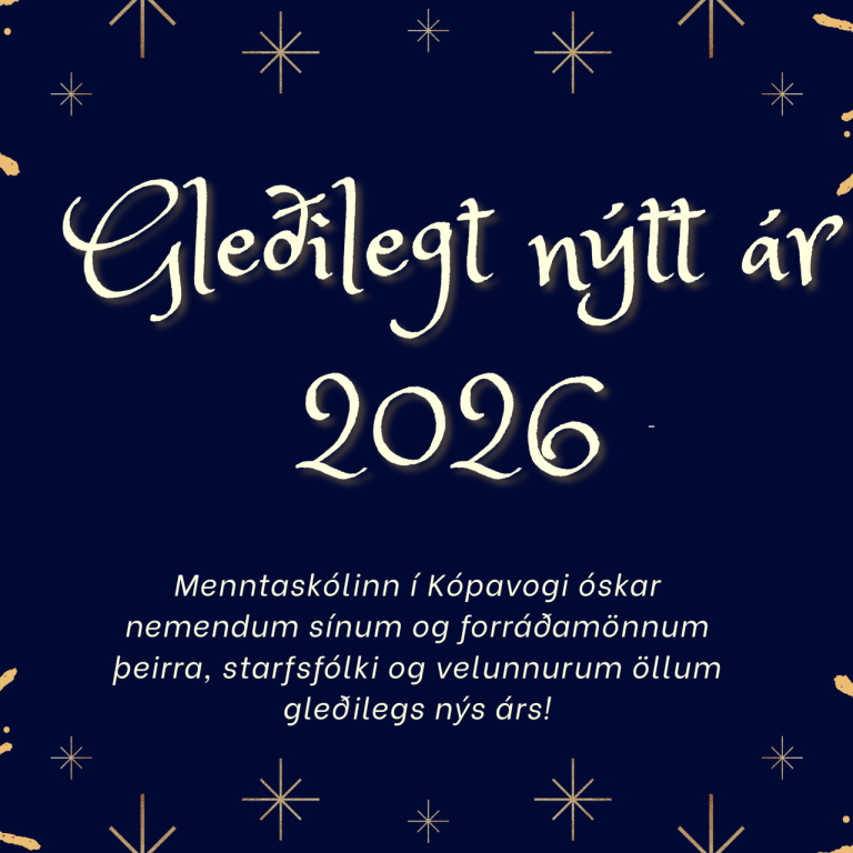 Gleðilegt nýtt ár!